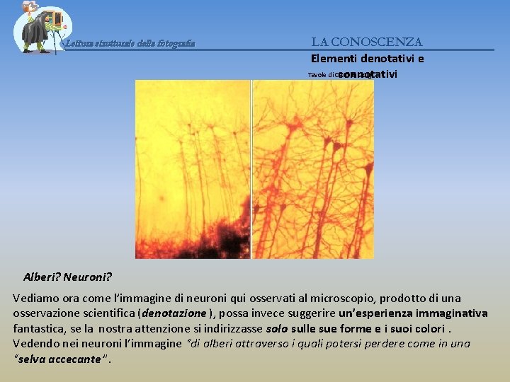 Lettura strutturale della fotografia LA CONOSCENZA Elementi denotativi e Tavole di Camillo Golgi connotativi
