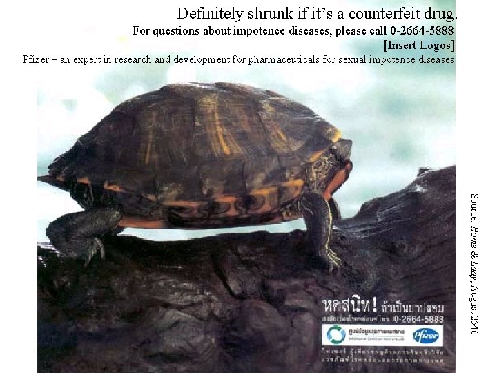 Definitely shrunk if it’s a counterfeit drug. For questions about impotence diseases, please call