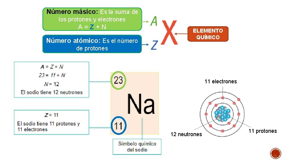 Número másico: Es la suma de los protones y electrones A=Z+N Número atómico: Es