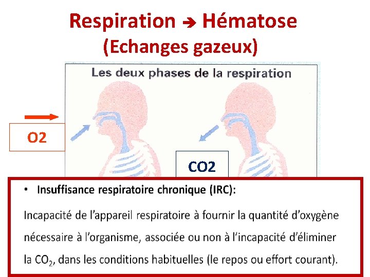 Respiration Hématose (Echanges gazeux) O 2 CO 2 