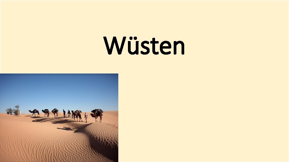 Wüsten 
