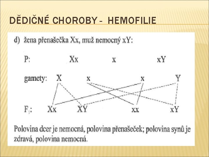 DĚDIČNÉ CHOROBY - HEMOFILIE 