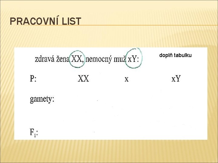 PRACOVNÍ LIST doplň tabulku 