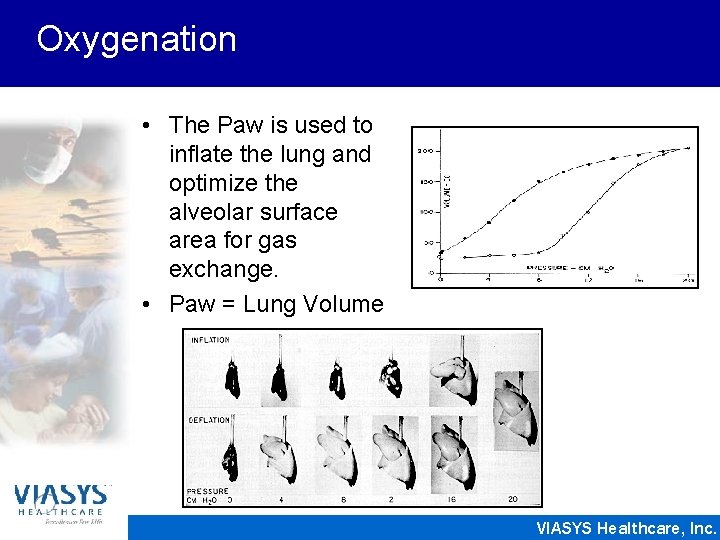 Oxygenation • The Paw is used to inflate the lung and optimize the alveolar