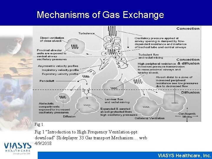 Mechanisms of Gas Exchange Fig 1 “Introduction to High Frequency Ventilation-ppt download” Slideplayer 33