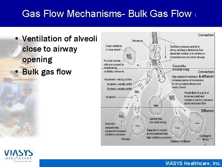 Gas Flow Mechanisms- Bulk Gas Flow 1 • Ventilation of alveoli close to airway