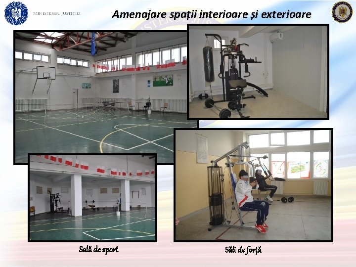 Amenajare spații interioare și exterioare Sală de sport Săli de forță 