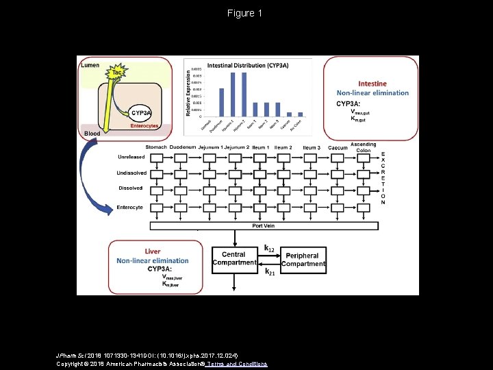 Figure 1 JPharm. Sci 2018 1071330 -1341 DOI: (10. 1016/j. xphs. 2017. 12. 024)