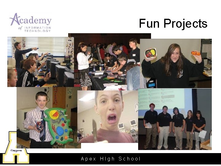 Fun Projects Apex HIgh School 