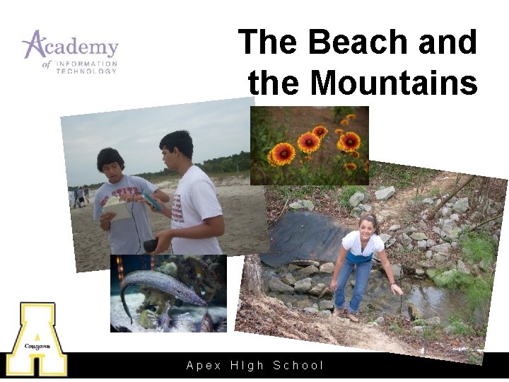 The Beach and the Mountains Apex HIgh School 