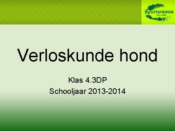 Verloskunde Hond Klas 4 3 Dp Schooljaar 2013