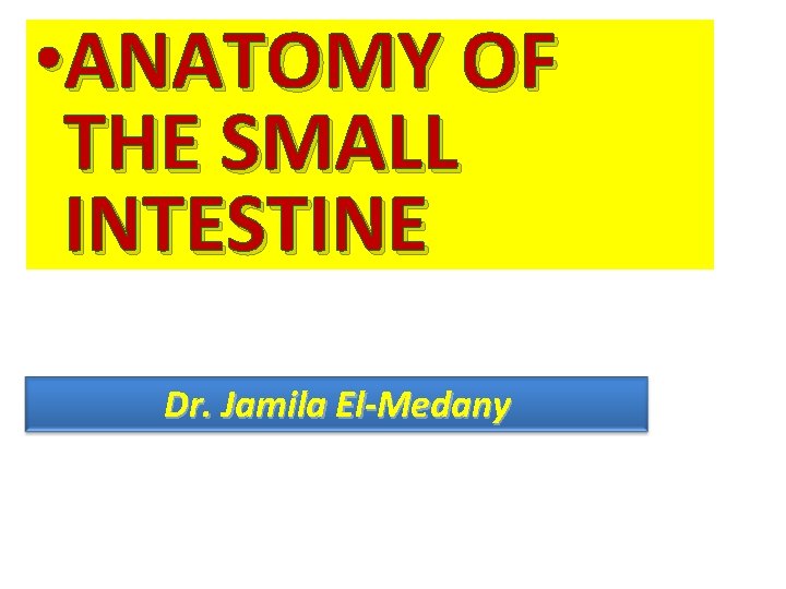  • ANATOMY OF THE SMALL INTESTINE Dr. Jamila El-Medany 