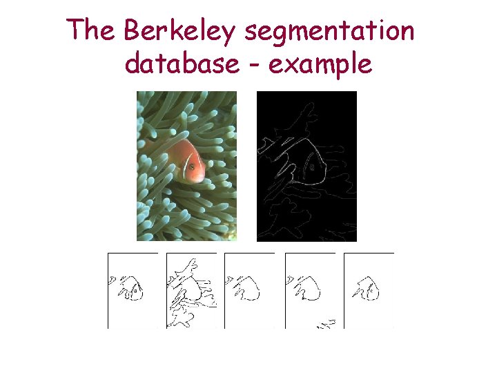 The Berkeley segmentation database - example 