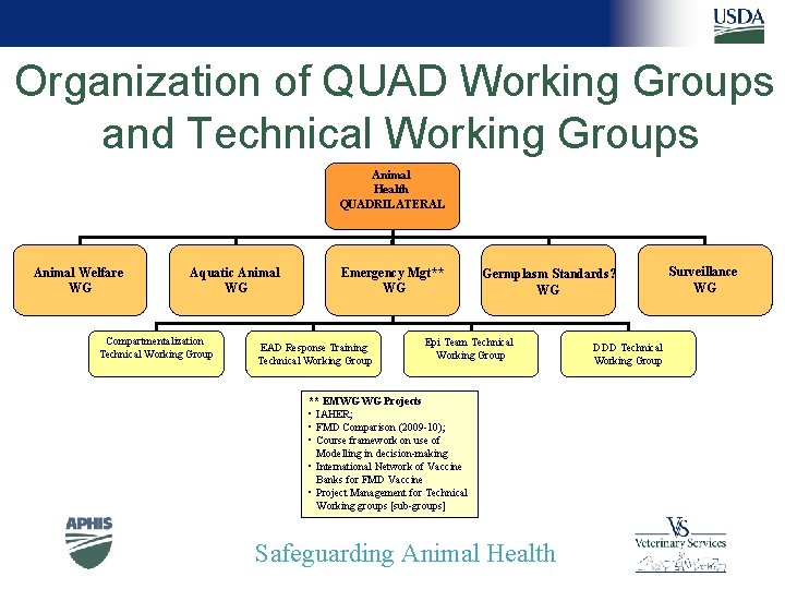 Organization of QUAD Working Groups and Technical Working Groups Animal Health QUADRILATERAL Animal Welfare