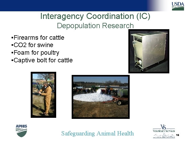 Interagency Coordination (IC) Depopulation Research • Firearms for cattle • CO 2 for swine