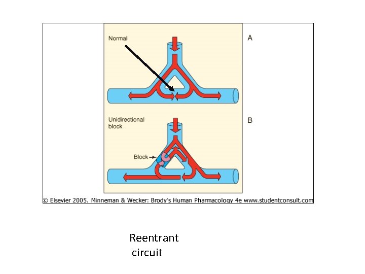 Reentrant circuit 