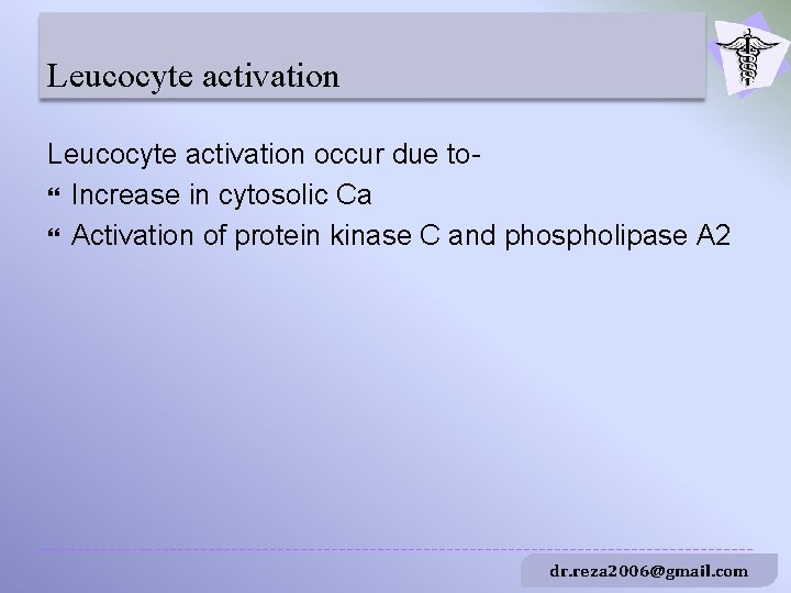 Leucocyte activation occur due to Increase in cytosolic Ca Activation of protein kinase C