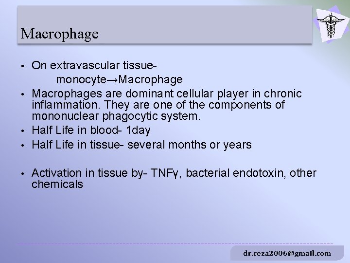 Macrophage • • • On extravascular tissuemonocyte→Macrophages are dominant cellular player in chronic inflammation.