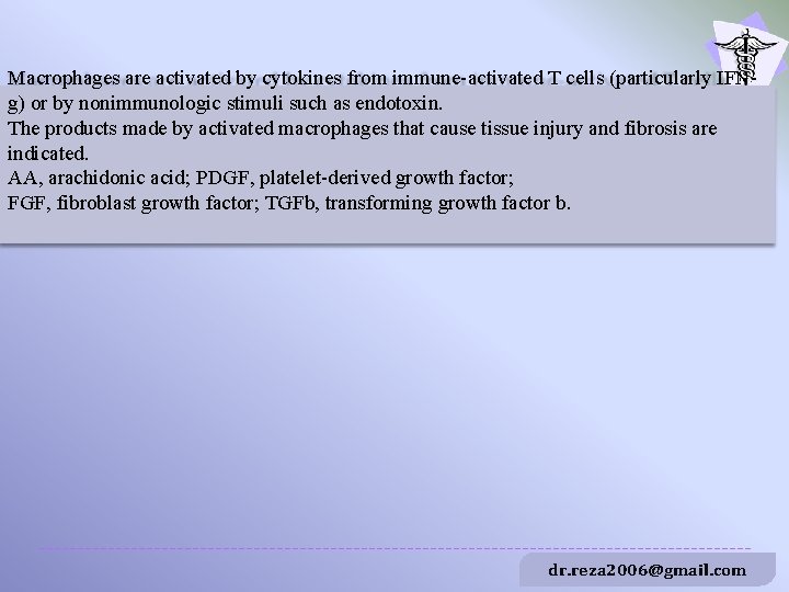 Macrophages are activated by cytokines from immune-activated T cells (particularly IFNg) or by nonimmunologic