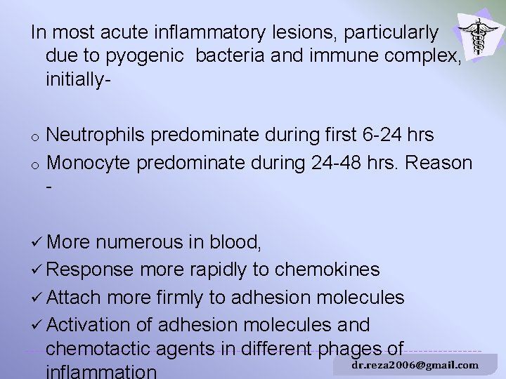 In most acute inflammatory lesions, particularly due to pyogenic bacteria and immune complex, initiallyo