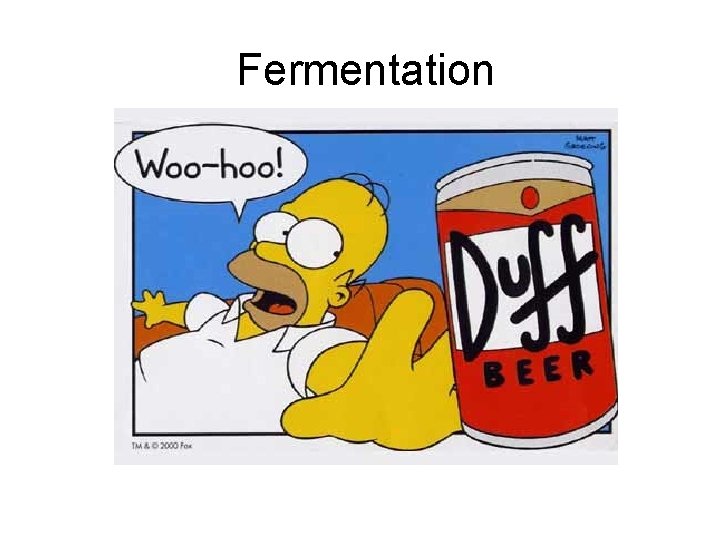 Fermentation 