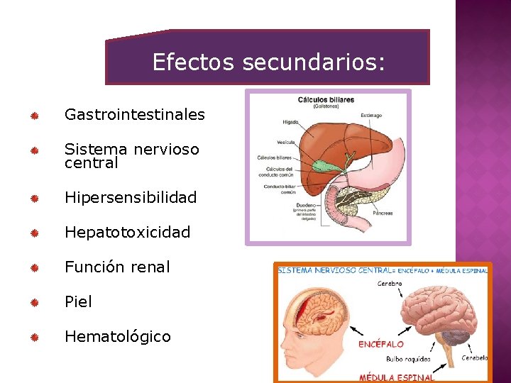 Efectos secundarios: Gastrointestinales Sistema nervioso central Hipersensibilidad Hepatotoxicidad Función renal Piel Hematológico 
