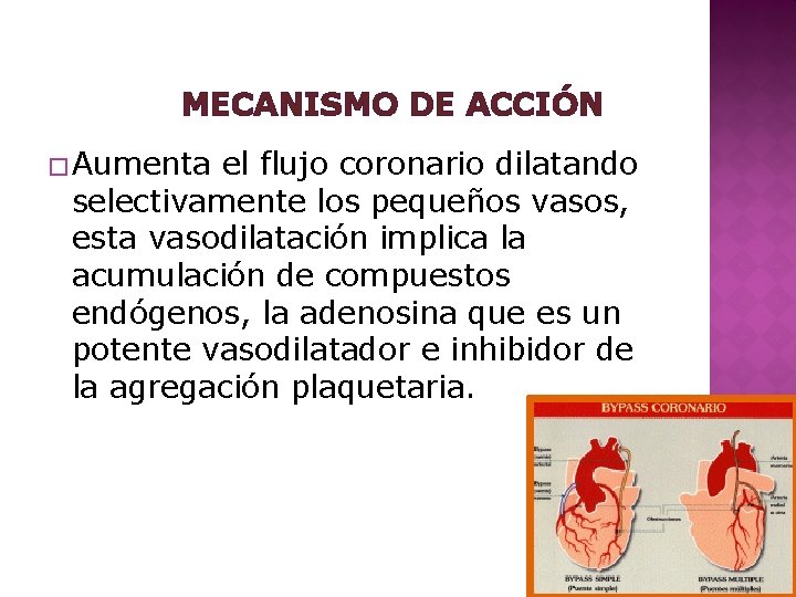 MECANISMO DE ACCIÓN � Aumenta el flujo coronario dilatando selectivamente los pequeños vasos, esta