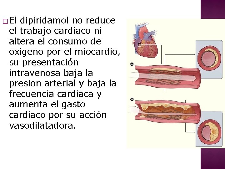 � El dipiridamol no reduce el trabajo cardiaco ni altera el consumo de oxigeno