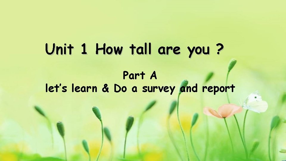 Unit 1 How tall are you ? Part A let’s learn & Do a