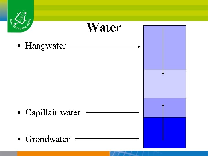 Water • Hangwater • Capillair water • Grondwater 
