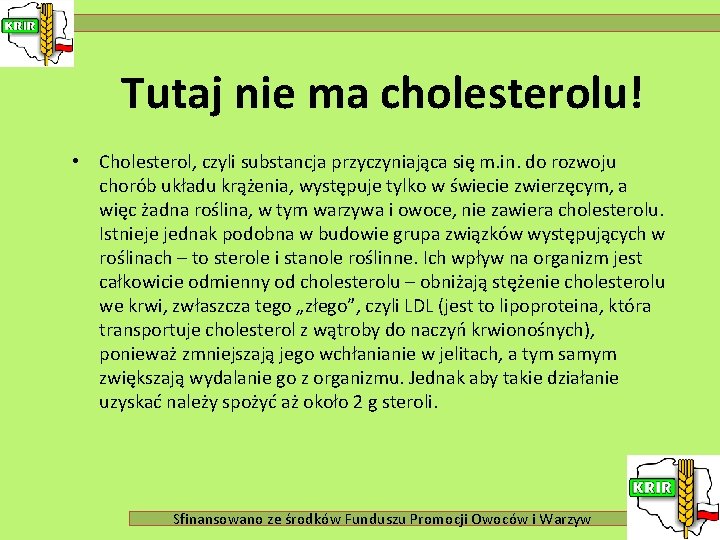 Tutaj nie ma cholesterolu! • Cholesterol, czyli substancja przyczyniająca się m. in. do rozwoju