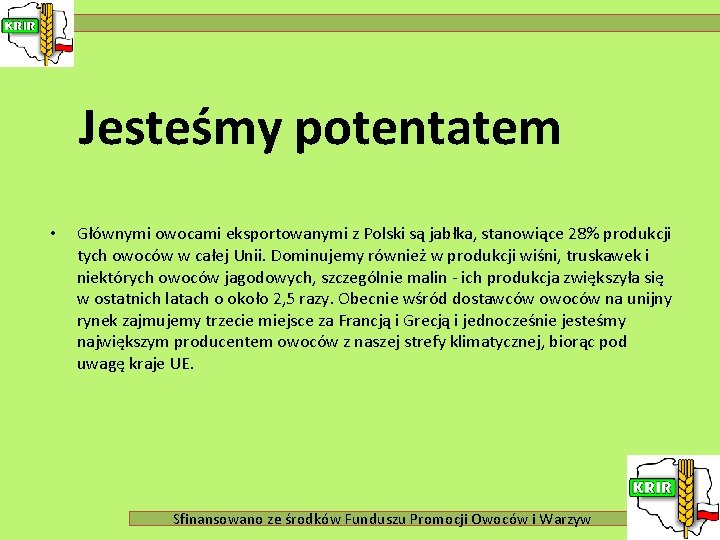 Jesteśmy potentatem • Głównymi owocami eksportowanymi z Polski są jabłka, stanowiące 28% produkcji tych
