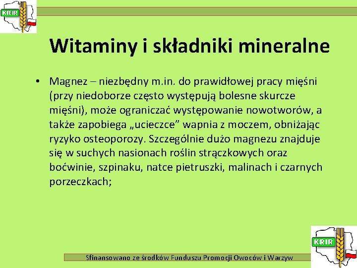 Witaminy i składniki mineralne • Magnez – niezbędny m. in. do prawidłowej pracy mięśni
