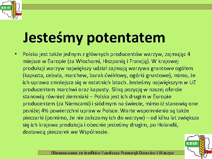 Jesteśmy potentatem • Polska jest także jednym z głównych producentów warzyw, zajmując 4 miejsce
