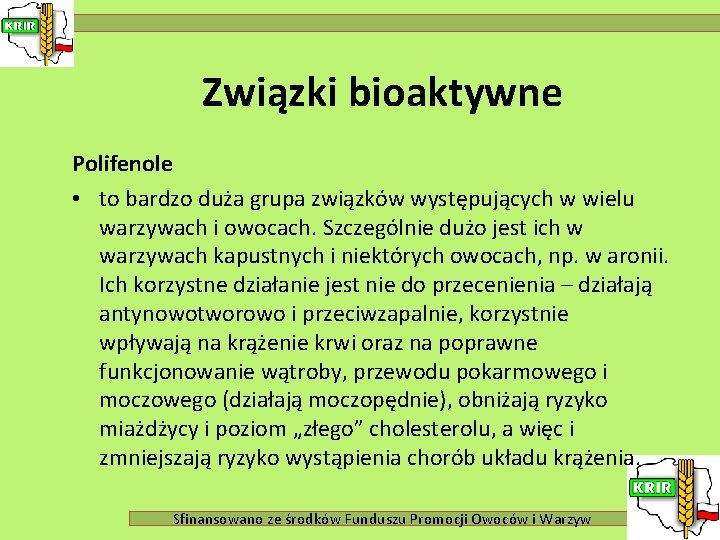 Związki bioaktywne Polifenole • to bardzo duża grupa związków występujących w wielu warzywach i