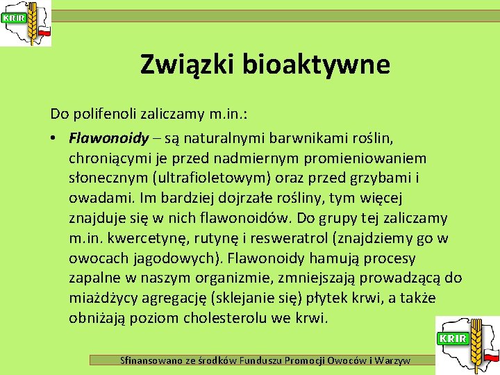 Związki bioaktywne Do polifenoli zaliczamy m. in. : • Flawonoidy – są naturalnymi barwnikami