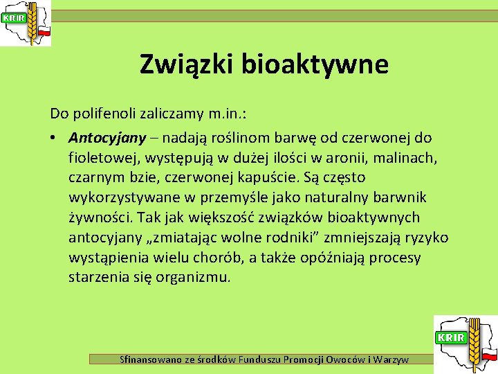 Związki bioaktywne Do polifenoli zaliczamy m. in. : • Antocyjany – nadają roślinom barwę