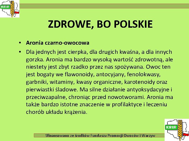 ZDROWE, BO POLSKIE • Aronia czarno-owocowa • Dla jednych jest cierpka, dla drugich kwaśna,