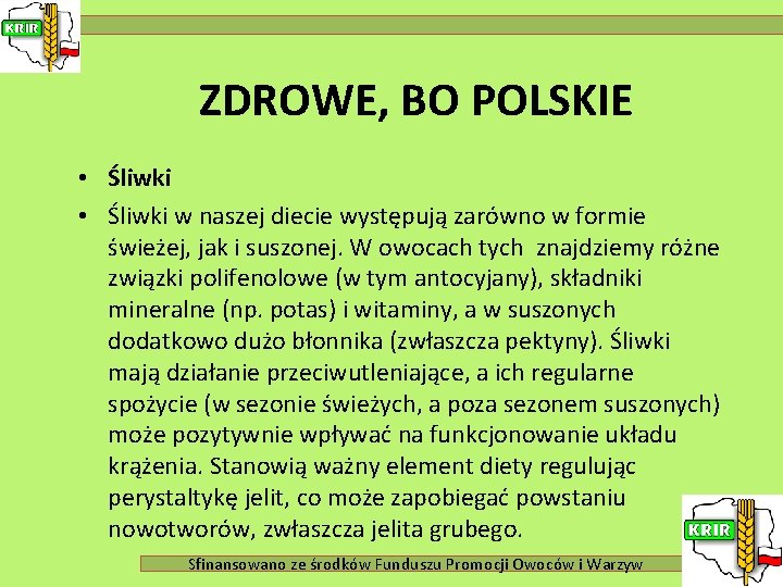 ZDROWE, BO POLSKIE • Śliwki w naszej diecie występują zarówno w formie świeżej, jak