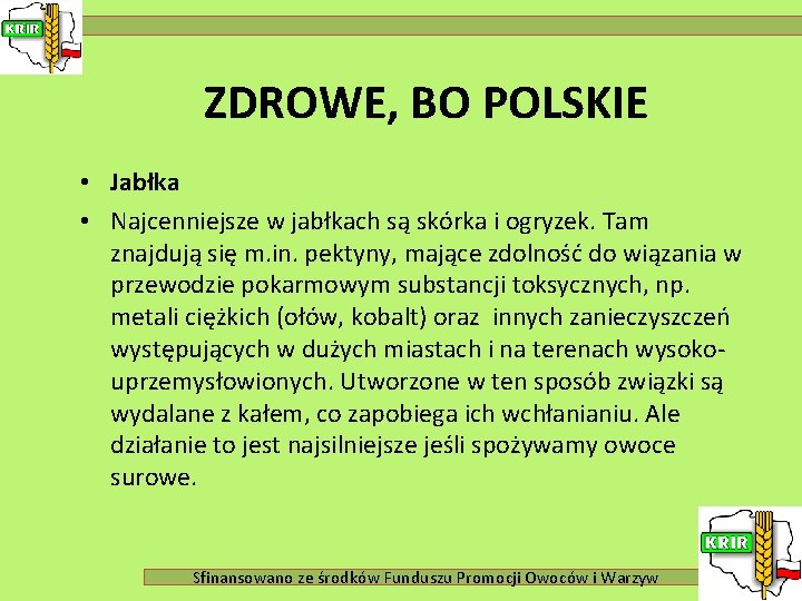 ZDROWE, BO POLSKIE • Jabłka • Najcenniejsze w jabłkach są skórka i ogryzek. Tam