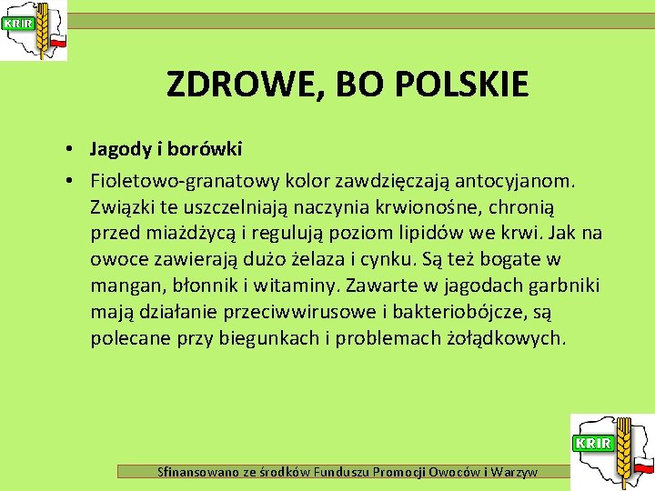ZDROWE, BO POLSKIE • Jagody i borówki • Fioletowo-granatowy kolor zawdzięczają antocyjanom. Związki te