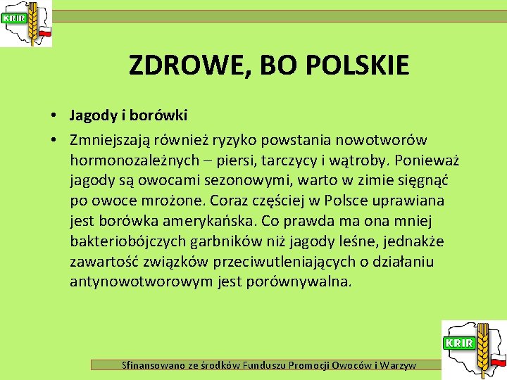 ZDROWE, BO POLSKIE • Jagody i borówki • Zmniejszają również ryzyko powstania nowotworów hormonozależnych