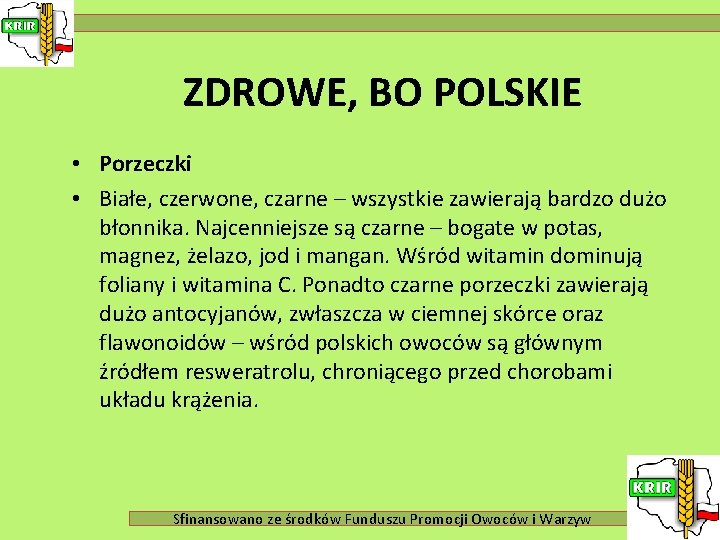 ZDROWE, BO POLSKIE • Porzeczki • Białe, czerwone, czarne – wszystkie zawierają bardzo dużo