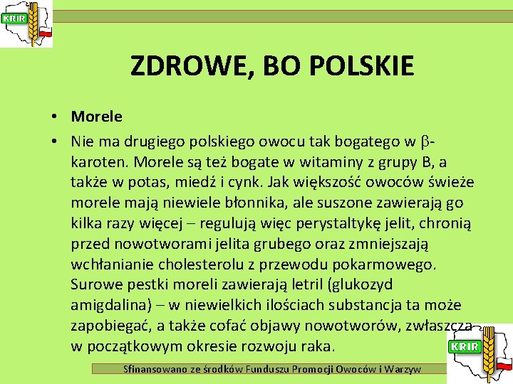 ZDROWE, BO POLSKIE • Morele • Nie ma drugiego polskiego owocu tak bogatego w
