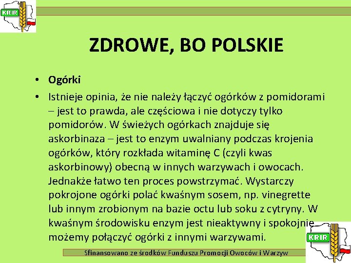 ZDROWE, BO POLSKIE • Ogórki • Istnieje opinia, że nie należy łączyć ogórków z