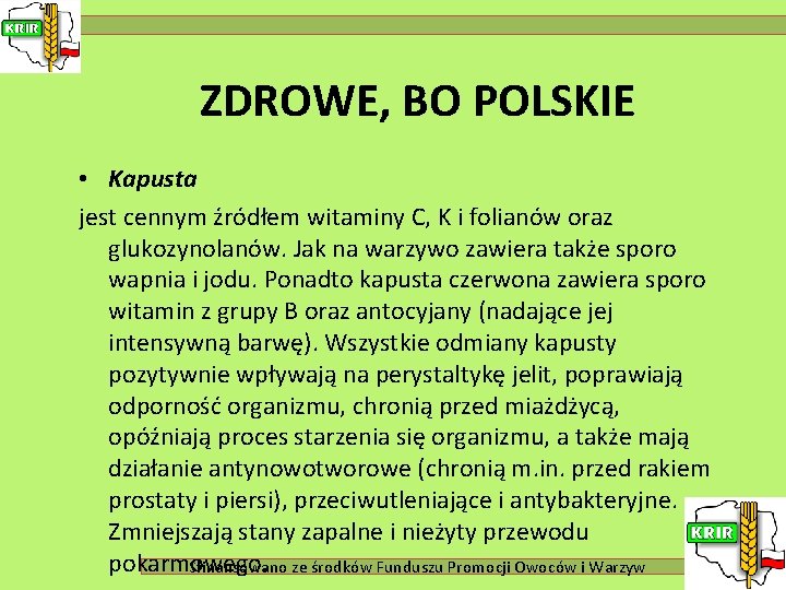 ZDROWE, BO POLSKIE • Kapusta jest cennym źródłem witaminy C, K i folianów oraz