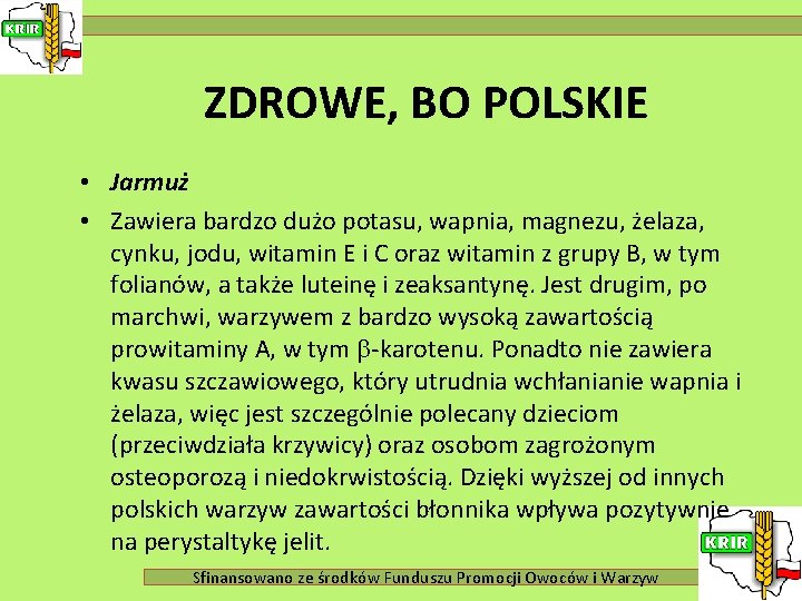 ZDROWE, BO POLSKIE • Jarmuż • Zawiera bardzo dużo potasu, wapnia, magnezu, żelaza, cynku,