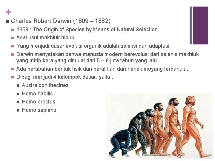 + n Charles Robert Darwin (1809 – 1882) n 1859 : The Origin of