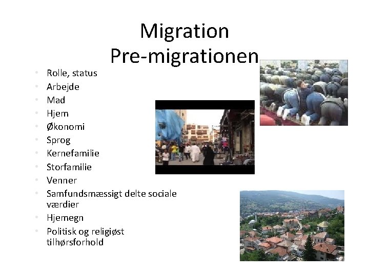 Migration Pre-migrationen Rolle, status Arbejde Mad Hjem Økonomi Sprog Kernefamilie Storfamilie Venner Samfundsmæssigt delte