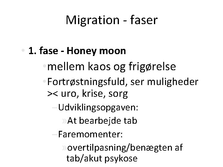 Migration - faser • 1. fase - Honey moon • mellem kaos og frigørelse